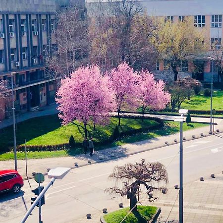 Bella studios&apartments Kruševac Esterno foto