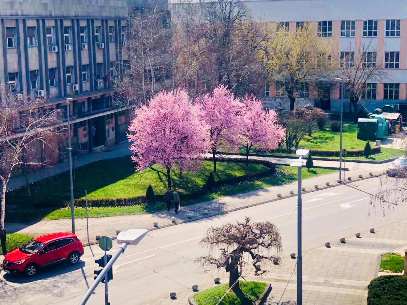 Bella studios&apartments Kruševac Esterno foto